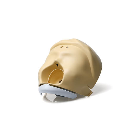 Laerdal Anterior skull & jaw for Little Anne Gen2 light skin tone